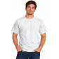 Camiseta masculina manga curta raglan
