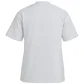 Camiseta masculina manga curta raglan