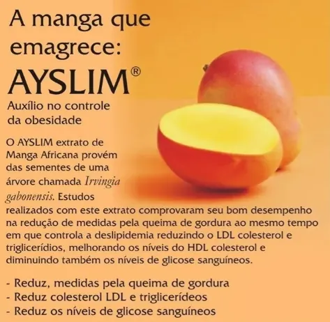 Ayslim ( Irvingia Gabonensis) Manga Africana 500mg 