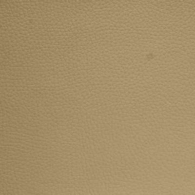 Cadeira C3 Presidente