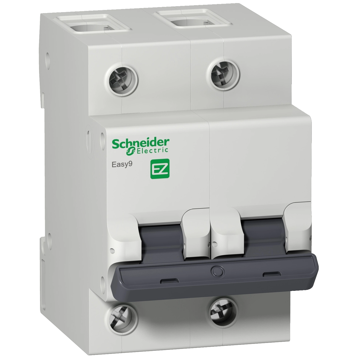 Disjuntor Bifásico 50A Curva C 4,5kA EASY9 EZ9F33250 Schneider