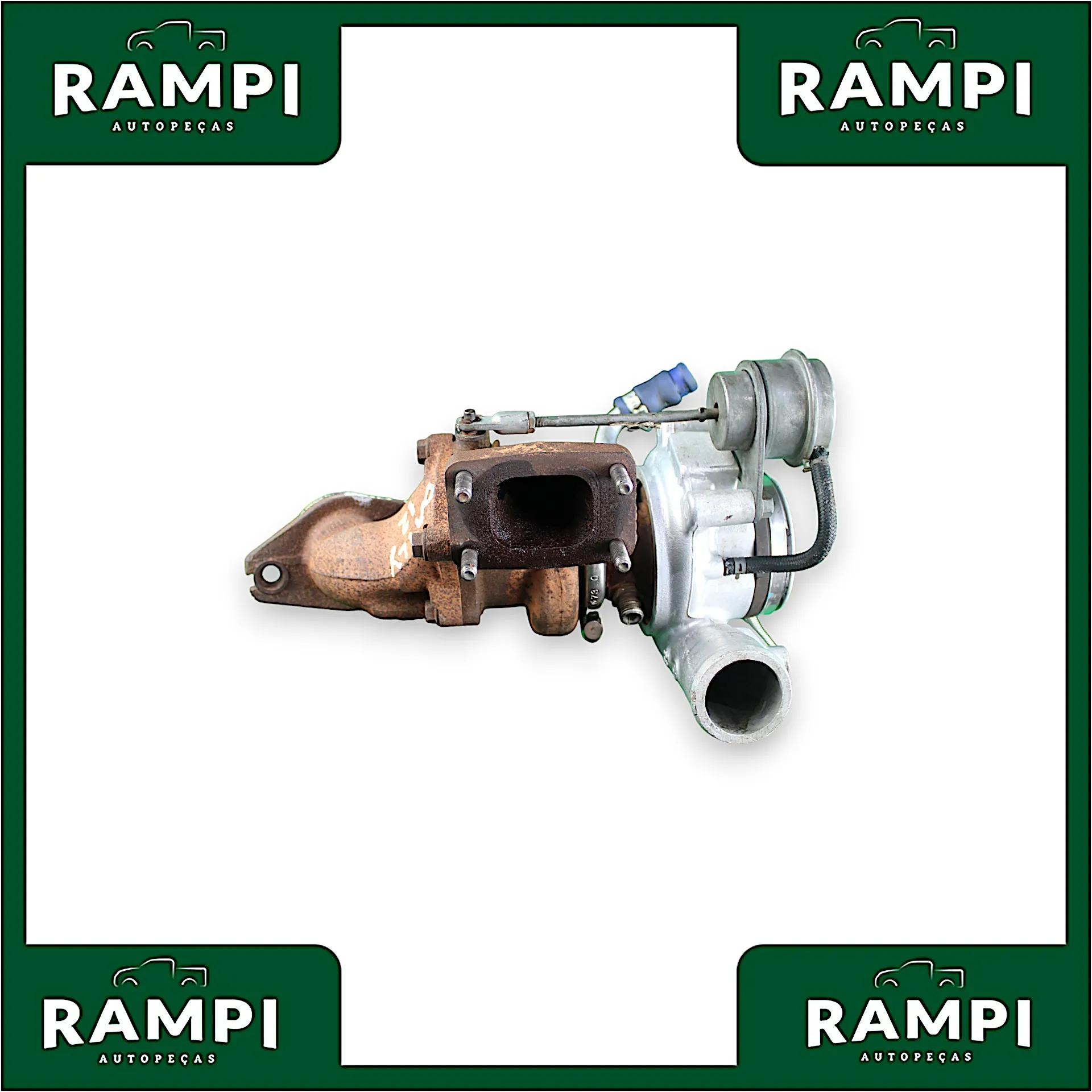 Turbina Daily 2012