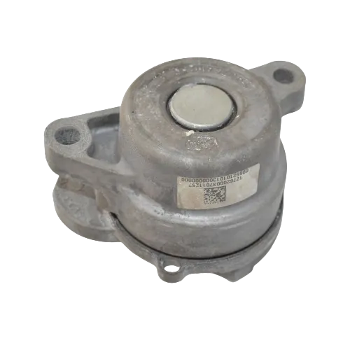 Tensionador sem rolamento Mercedes E350 V6 2012 Gasolina