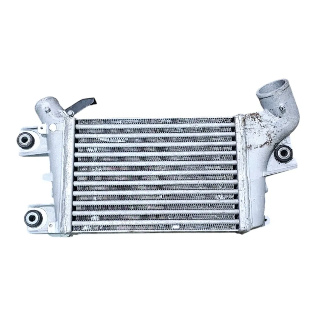 Intercooler X Terra 2.8 mwm 2006 SE