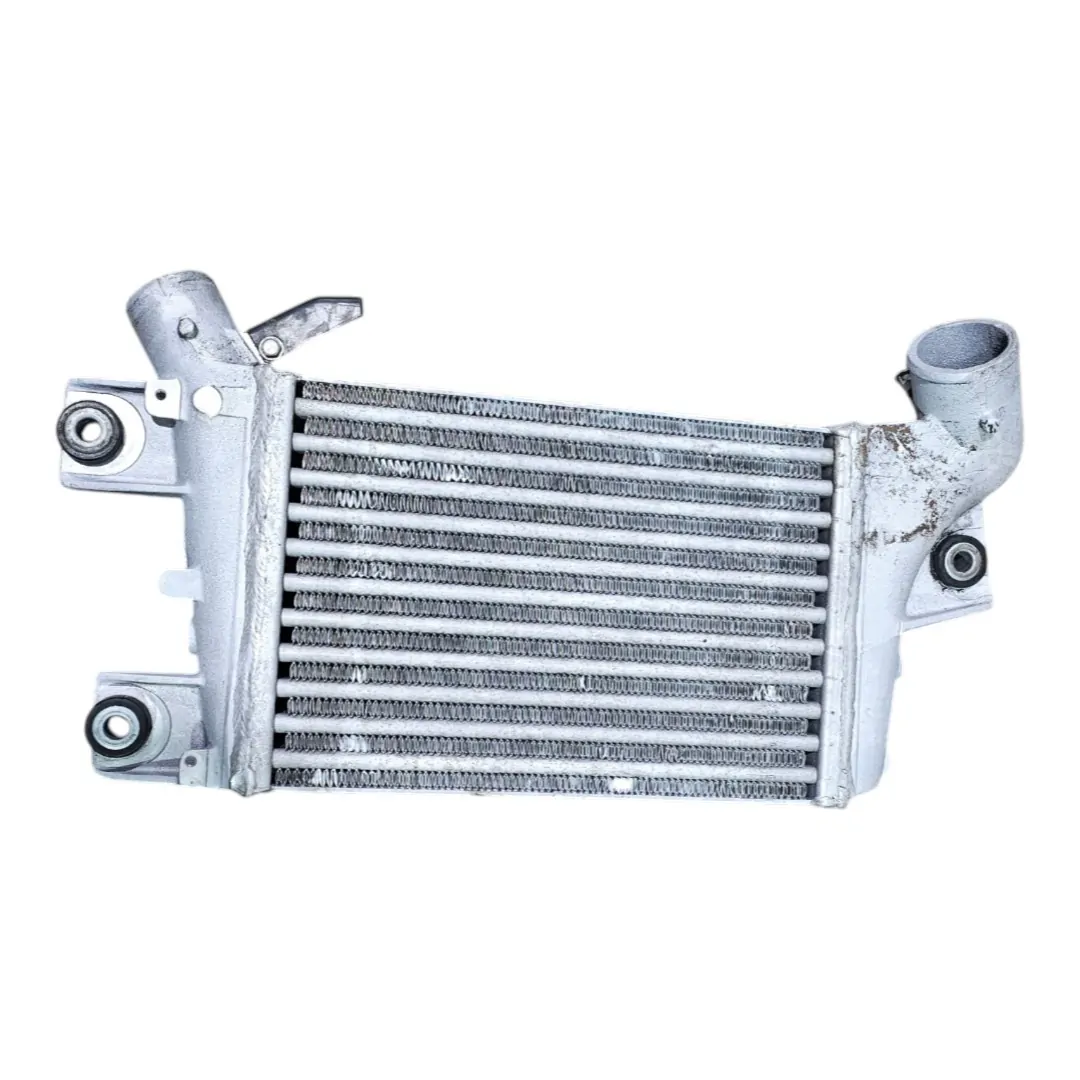 Intercooler X Terra 2.8 mwm 2006 SE