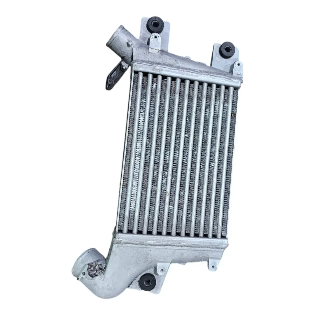 Intercooler X Terra 2.8 mwm 2006 SE