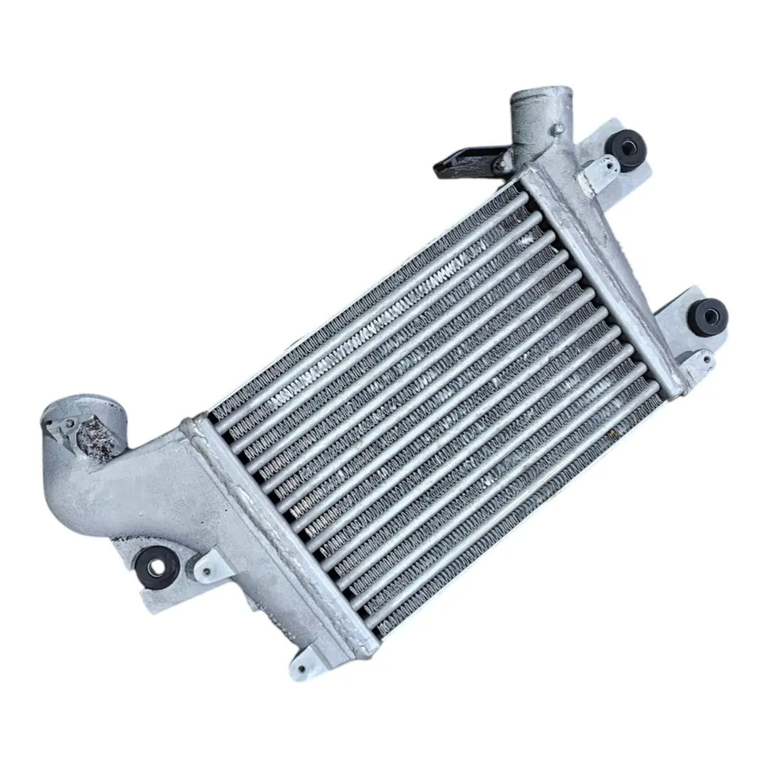 Intercooler X Terra 2.8 mwm 2006 SE