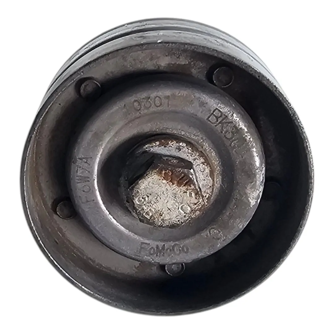Polia tensor alternador Ranger 3.2 LTD 2021